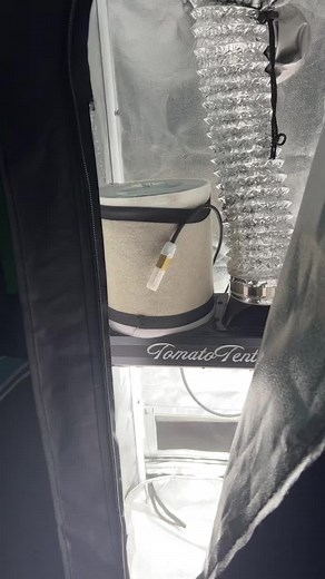 Essential Guide to Grow Tents for Indoor Gardening