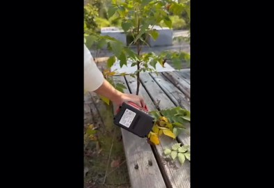 Battery Pruning Shears, Cordless Electric Pruning Shears with LCD Display, SK5 High Carbon Steel Blades and Safe Start Setting, Cordless Electric Pruning Shears for Tree Pruning