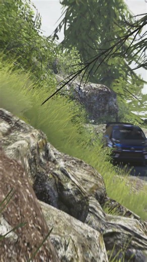 Volkswagen Polo R | Sequoia National Park | V-Rrally 4