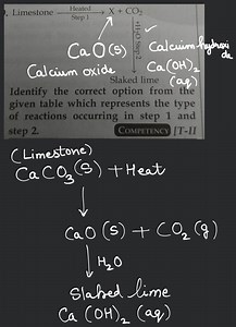 Slaked lime Identify the correct option from the given table wh... | Filo