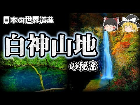 日本の世界遺産「白神山地」ブナ原生林の秘密！【ゆっくり解説】