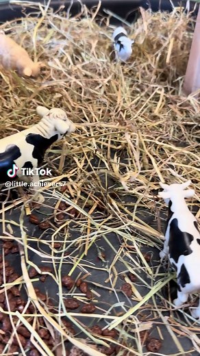 Engaging Preschool Farm Tuff Tray Activities