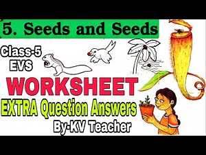 WORKSHEETS/ Seeds And Seeds / Class-5 EVS Ncert Chapter 5 EXTRA Question Answers / KV Teacher