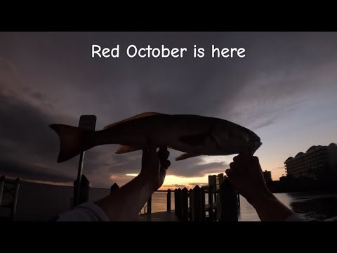 Red Fish & Snapper - Catch & Cook