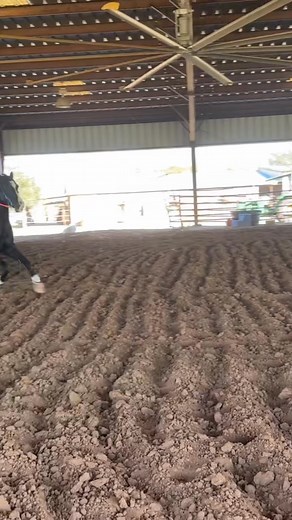 7.3K views · 79 reactions | 24 days on the pattern. 5th time I’ve...