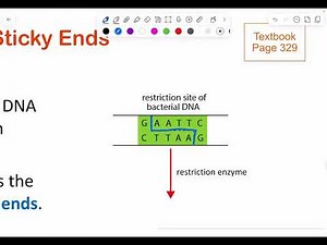 [Crash Course] O and N level Biology (13 Molecular Genetics Part 2)