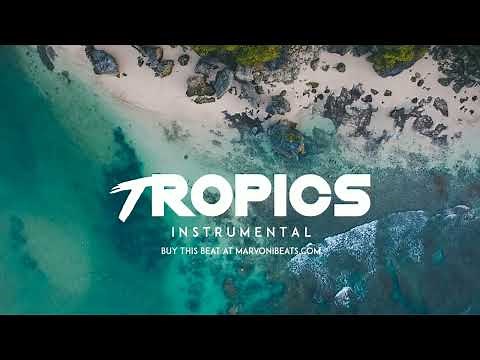 Reggae Dancehall Riddim Instrumental 2023 ( Tropics )