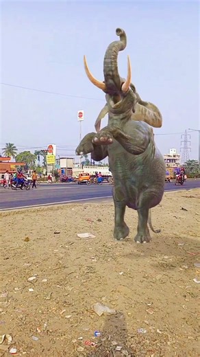 elephant sound 🐘 #elephant #animals #wildlife #zoo #funny #viral #shorts