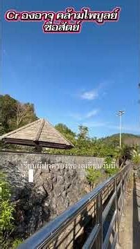 Cr Dr องอาจ คล้ามไพบูลย์ “ซื่อสัตย์”