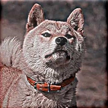 This Loyal Dog Waited for His Owner Until the Very End😭 #shorts#movieclips #movie