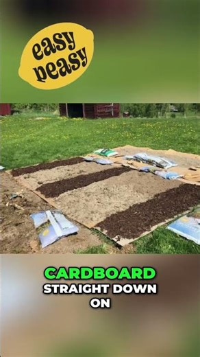 Genius Lazy Gardening - The No Till Method Revealed!