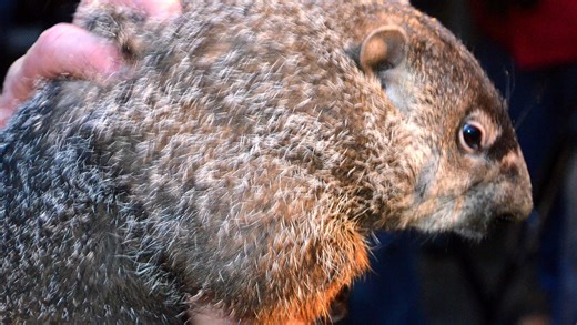 How many days until spring 2025? Cold, snow, wind has many looking ahead