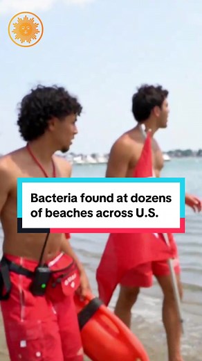 Officials have banned swimming at dozens of beaches across Illinois, New York, Massachusetts, Washington, Michigan and California due to high levels of a bacteria known as vibrio, which is typically found and coastal waters and can cause severe and potentially life-threatening infections. #beach #massachusetts #illinois #michigan #washington #california #newyork