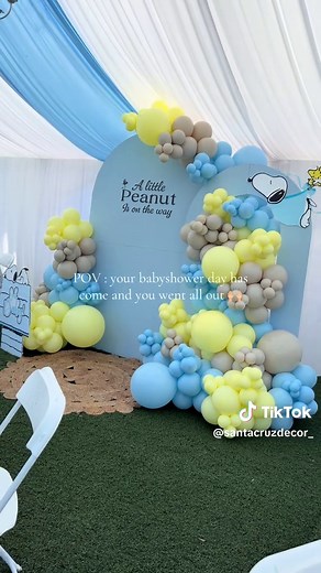 Snoopy-Themed Baby Shower Decor Ideas