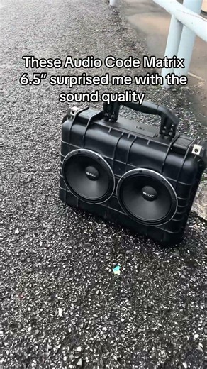 Audio Code Matrix 6.5” sound good