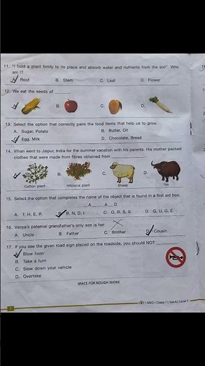 🧠 SOF NSO Class 1 (2022–23) Question Paper