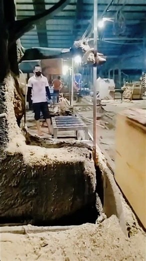 Vertical Band Sawmill in action