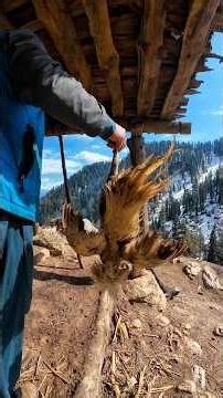 Cooking in Snow up in the mountains || Mountain man survival skills || wilderness Cooking Adventure