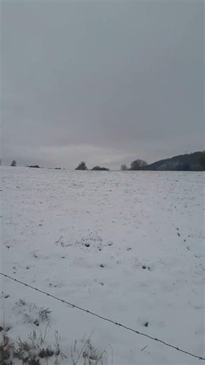 Landscape 360 covered in snow. Going for a walk #snow