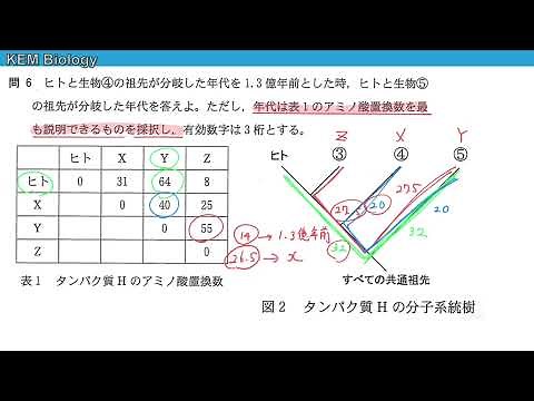 High School Biology "Osaka University 2020 Question 1C Molecular Phylogenetic Tree"