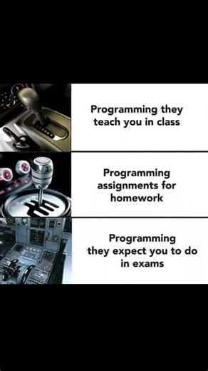 The CS Major Experience 💻😭
