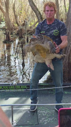 Tour guide caught a common snapping turtle!