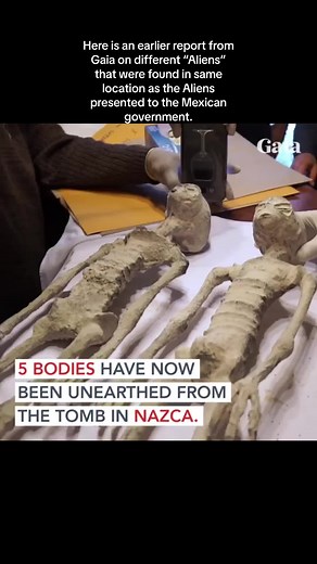 Here is an earlier report from Gaia on different “Aliens” that were found in same location as the Aliens presented to the Mexican government. #aliens #mexicoaliens2023 #perualiens #ufos #ufotiktok #ufotwitter #ufox #extraterrestrial #uaptiktok #uapnews #uaps