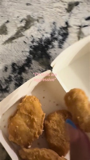 Pit Bulls: Challenging the Aggressive Stereotype