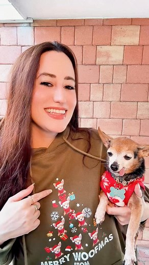 Personalized Dog Lover Merry Woofmas Glassic Hoodies 10/10 ⭐️⭐️⭐️⭐️⭐️ #christmas #gifts #giftidea #doglover #hoodie | onenac