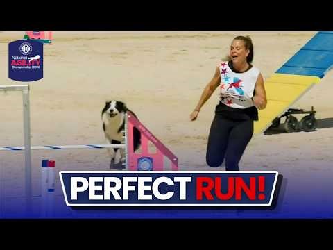 Perfect Run When It Mattered Most 🏆 | Howie the Border Collie (AKC NAC 2026)