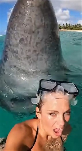 The "Found Footage" Story | RECOVERED GOPRO: Last moments of a snorkeler 📹