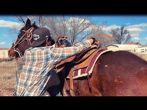 RIDING AN OLDER HORSE FOR THE FIRST TIME EVER😮