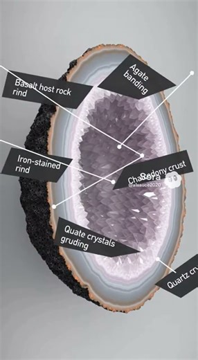 How Geodes Form (Inside a Rock) #GeologyRocks #Geology #Geodes #Crystals #EarthScience #Shorts