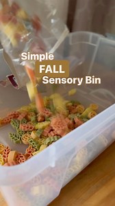 Simple Fall Sensory Bin Idea: fall noodles (from @aldiusa), leaves, and scoops (measuring cups make great scoops). Throw everything into a bin and your kids are ready to play! Scoop, color sort, count! Side note: watch kids carefully, pasta could be a choking hazard. #kidsactivities #kidsactivity #toddleractivities #toddleractivity #letskeepkidsbusy | CraftMonsterz