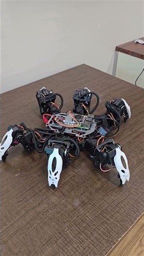 Hexapod Robot Dance