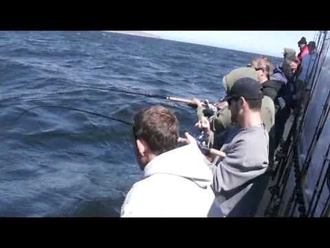 Mirage Sportfishing - Channel Islands Sportfishing - Oxnard, CA