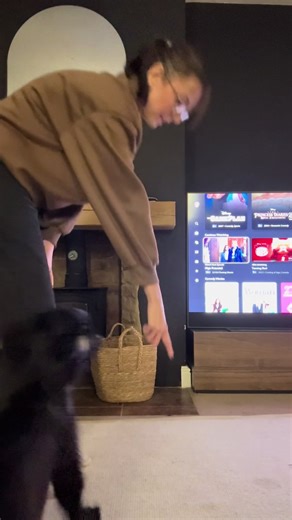 Cocker Spaniel Shows Off Amazing Tricks