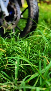 Ride Yamaha, choose Yamaha Engine Oil – feel the difference every mile | Afsana Tilka