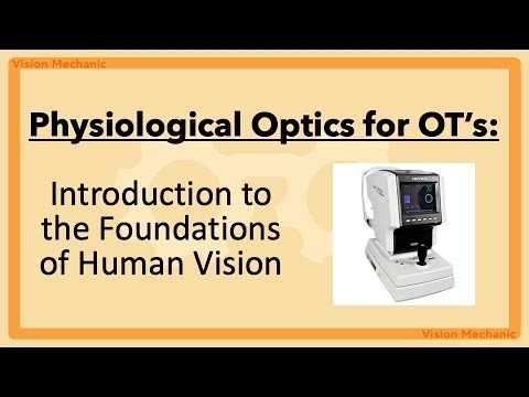 Physiological Optics for OTs: Introduction the the Fundamentals of Human Vision