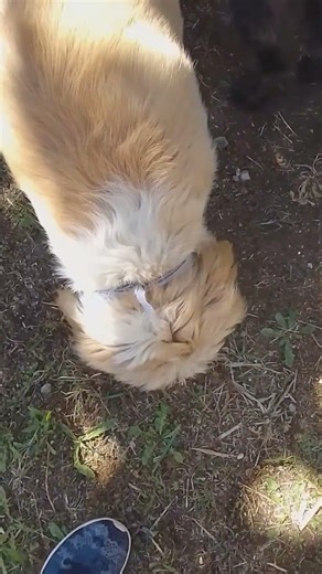 Εκδρομή στο χωριό