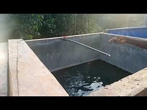 the construction of the fish tank is finished 🦈🐟🐋🐬