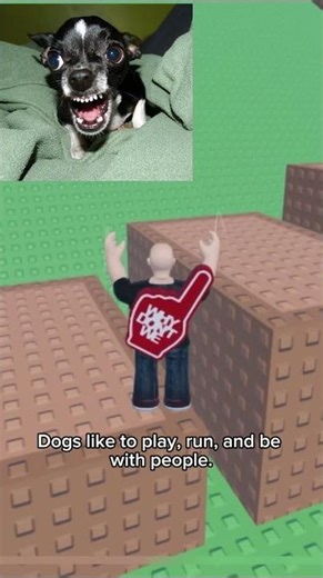 Fun facts about dogs🐶 #rblx #roblox #robloxrant #dogsfacts