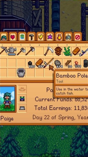 This Stardew Valley Mod Tells You EVERYTHING 👀