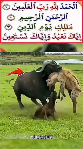 surah الفاتحه‍💫recitation remix egzon ibrahimi #alfatihah​ #egzonibrahimi​#recitation​#remix​#shorts