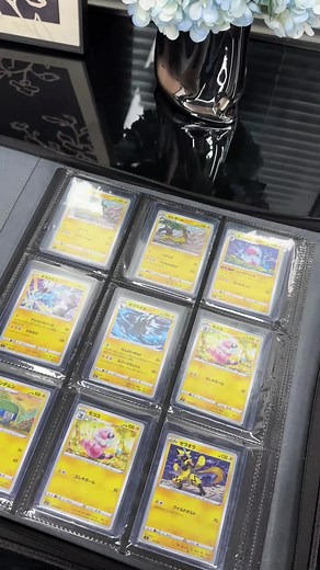 Card Binder for Top Loaders — Holds 252, Side-Loading, Clear Pages