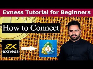 How to link your Exness account to your MT5/MT4 Trading platform