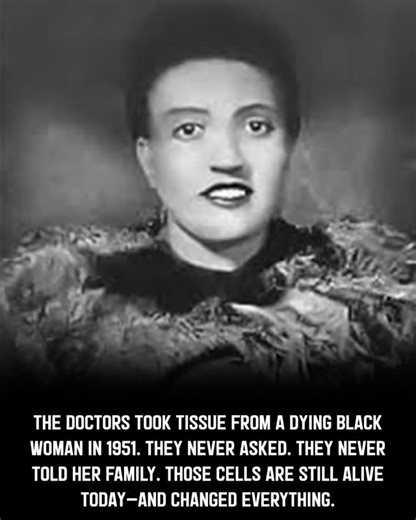 @interestinghistoryfact on Instagram: "The doctors took tissue from a dying Black woman in 1951. They never asked. They never told her family. Those cells are still alive today—and changed everything. Baltimore, Maryland. January 29, 1951. Henrietta Lacks felt the knot inside her. Deep. Wrong. Painful. She'd just given birth to her fifth child four months earlier—another boy named Joseph. But something wasn't right. Unexplained bleeding. Sharp pain. A hardness that shouldn't be there. At thirty-