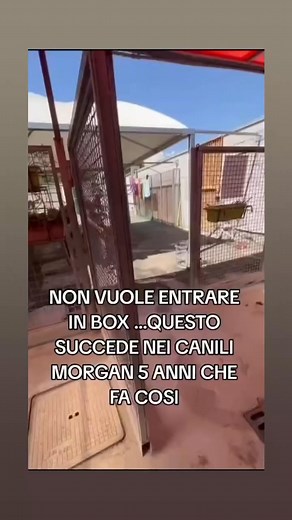 Maria Giova on Reels