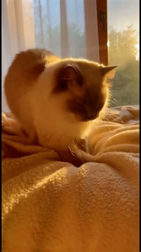 😂😂😂 #MicroSmirk #Shorts #YouTubeShorts #Comedy #MicroStory #POV #QuickLaugh #Viral #Storytime