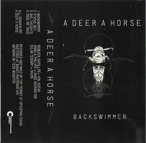 A Deer A Horse - Backswimmer